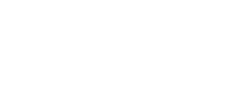 Fiszpan